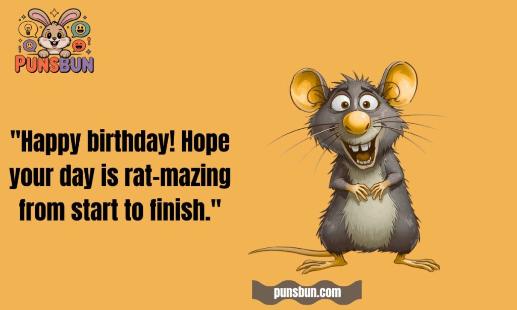Birthday Rat Puns That'll Make You Wheek!