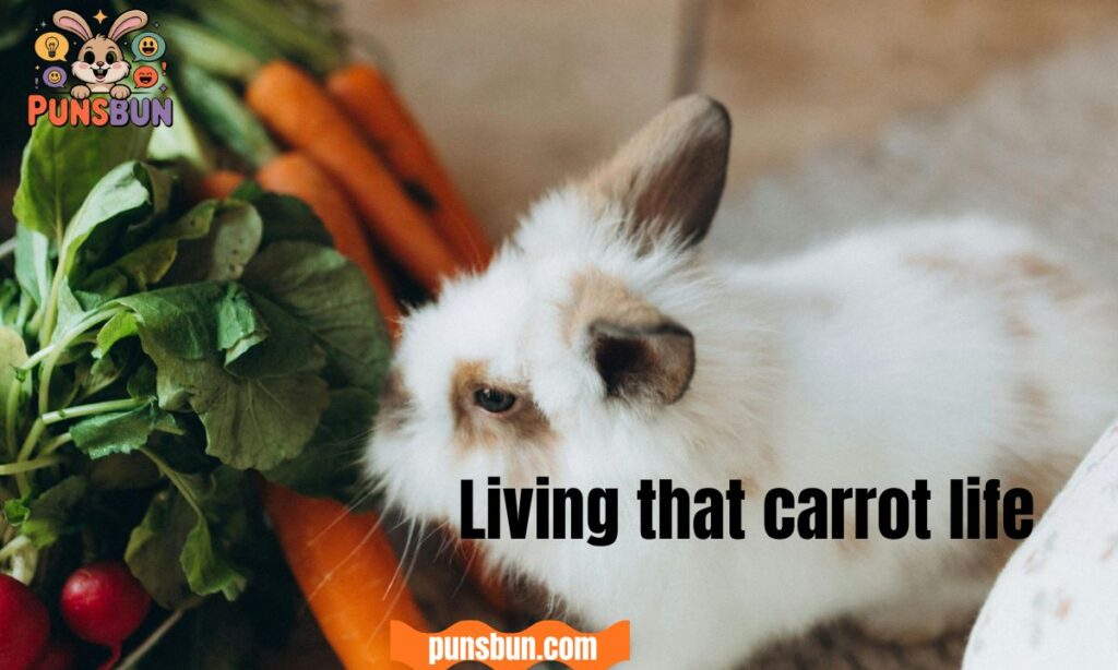 Carrot puns captions