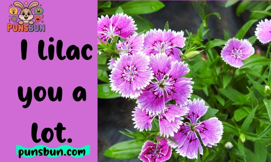 Flower puns for instagram