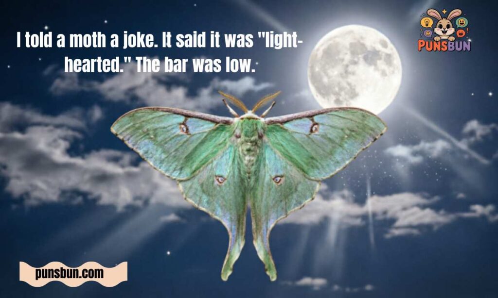 Funny Moth Puns