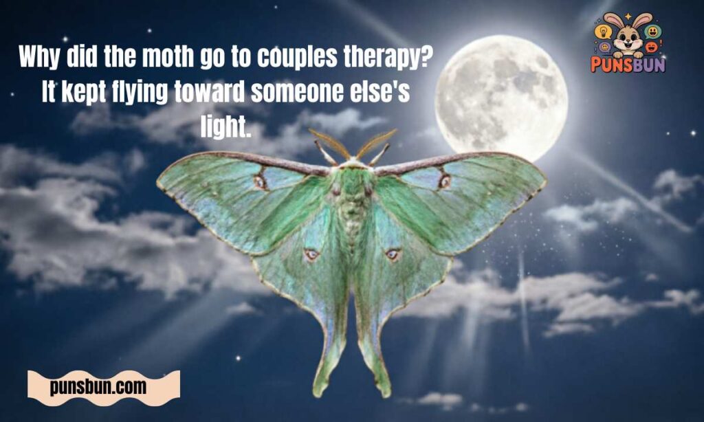 Moth Jokes for Adults