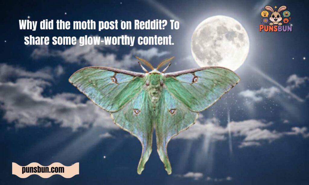 Moth Puns Reddit