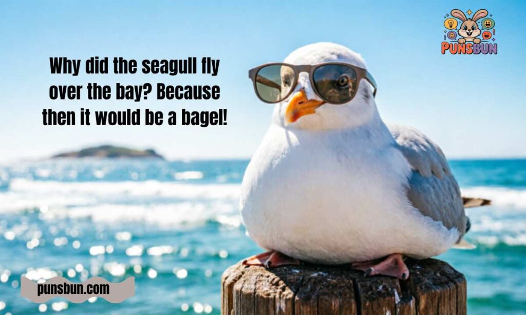 Seagull Joke Bagel