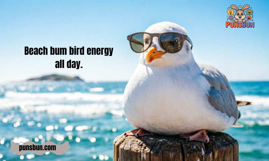 Seagull Puns Captions