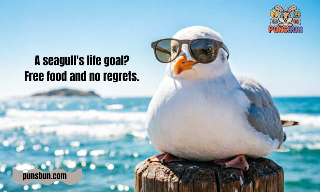 Seagull Puns One Liner