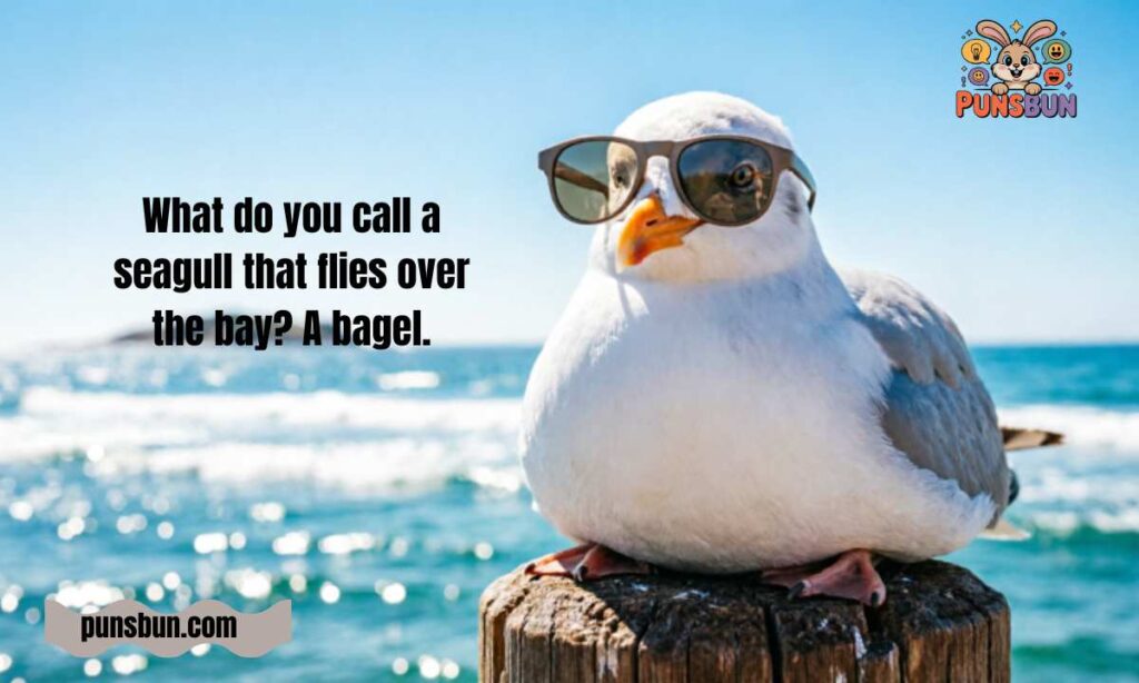 Seagull Puns Reddit