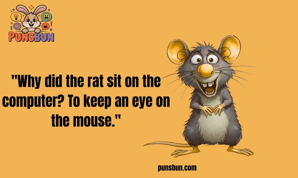 Short funny rat jokes