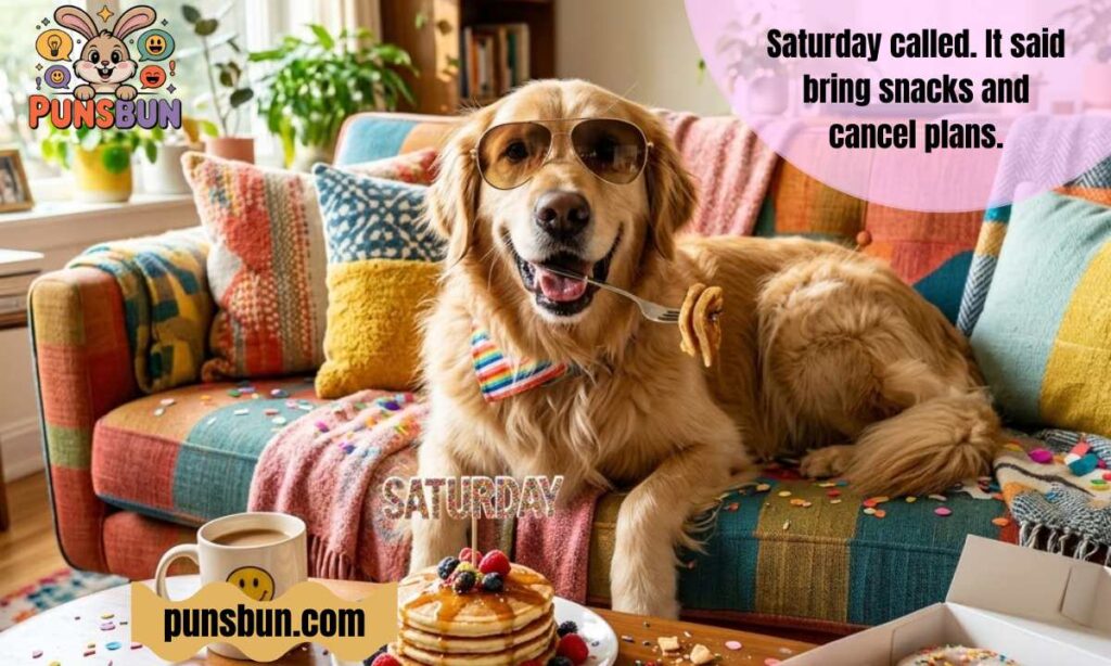 Hilarious Humor Happy Saturday Funny