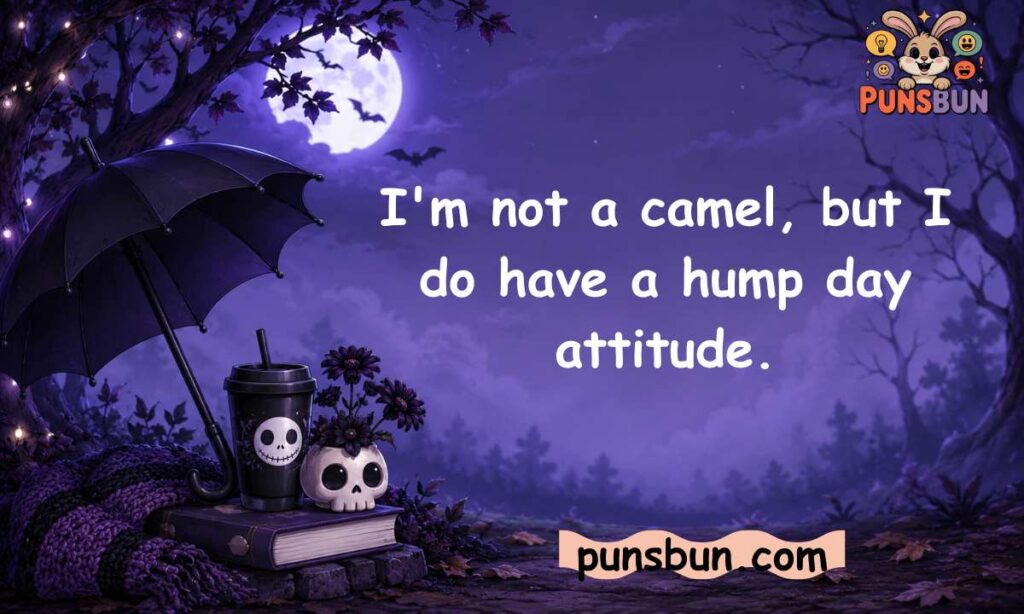 Camel and Hump Day Puns