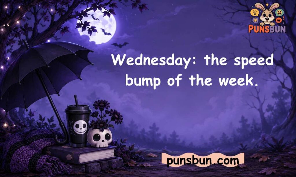 Short and Funny Wednesday One-Liners