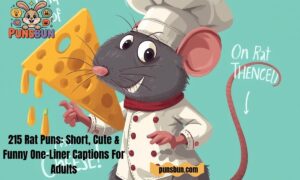 215 Rat Puns: Short, Cute & Funny One-Liner Captions For Adults