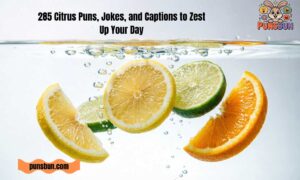 285 Citrus Puns, Jokes, and Captions to Zest Up Your Day
