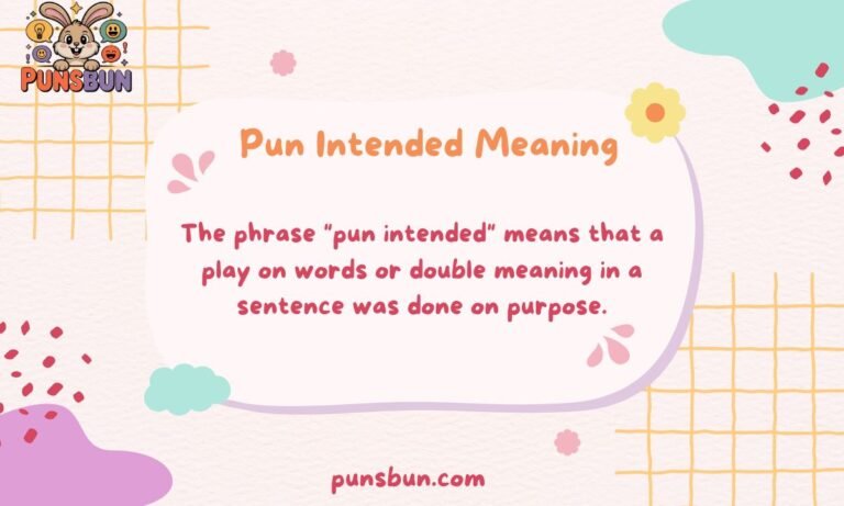 Pun Intended Meaning