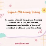 Sigma Meaning Slang